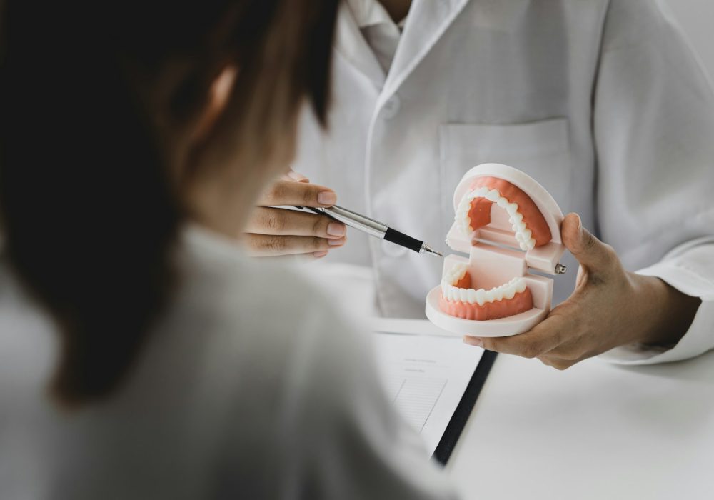 Dentists hold dental models used for dental care consultations.